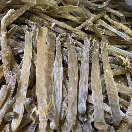防城港超大灰沙虫批发零售