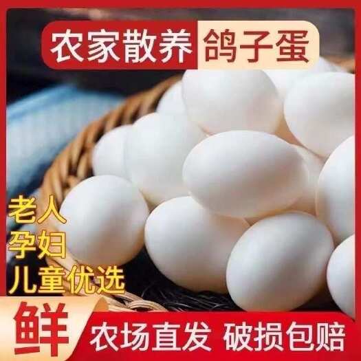 肇源县新鲜散养五谷杂粮农家特产白鸽蛋信鸽蛋孕妇宝宝儿童辅食土鸽蛋