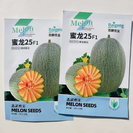 宿迁蜜龙25厚皮甜瓜种子 哈密瓜种子