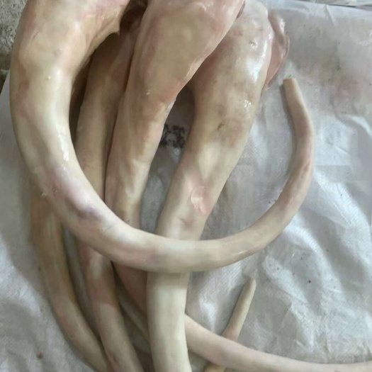 汕头鲜牛尾