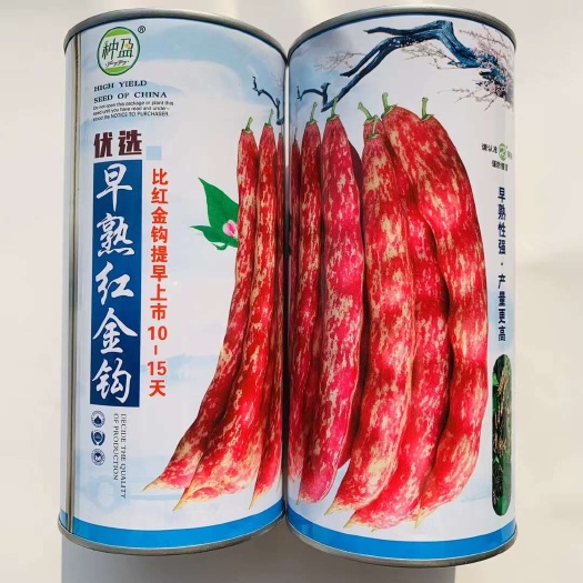 早熟红金钩架豆种子 无筋无柴口感细腻菜豆种子红四季豆种子
