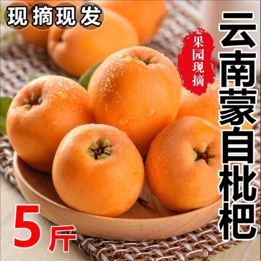 蒙自市长虹枇杷 现货 云南蒙自枇杷果新鲜水果包邮 新鲜现摘 自然成
