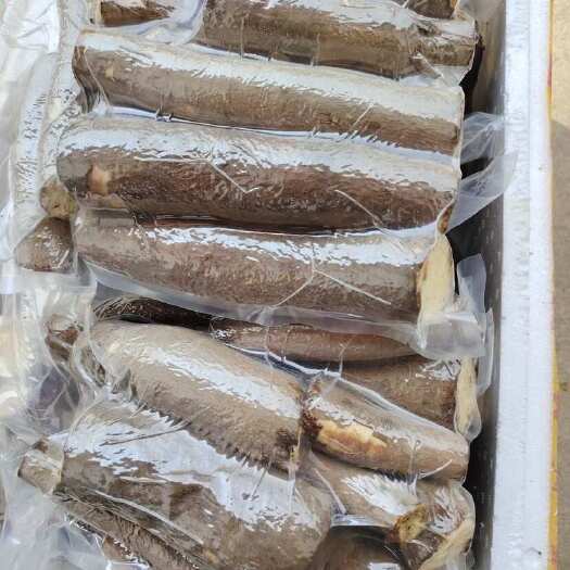 玉林黄肉木薯 稳定长期供应糖水店 电商 批发市场