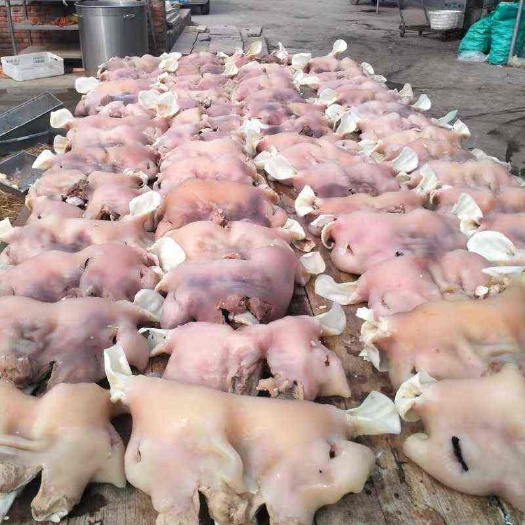 石家庄乳牛头肉