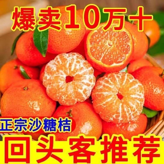 广西沙糖桔 有籽 产地直销 快递整车发货支持代发