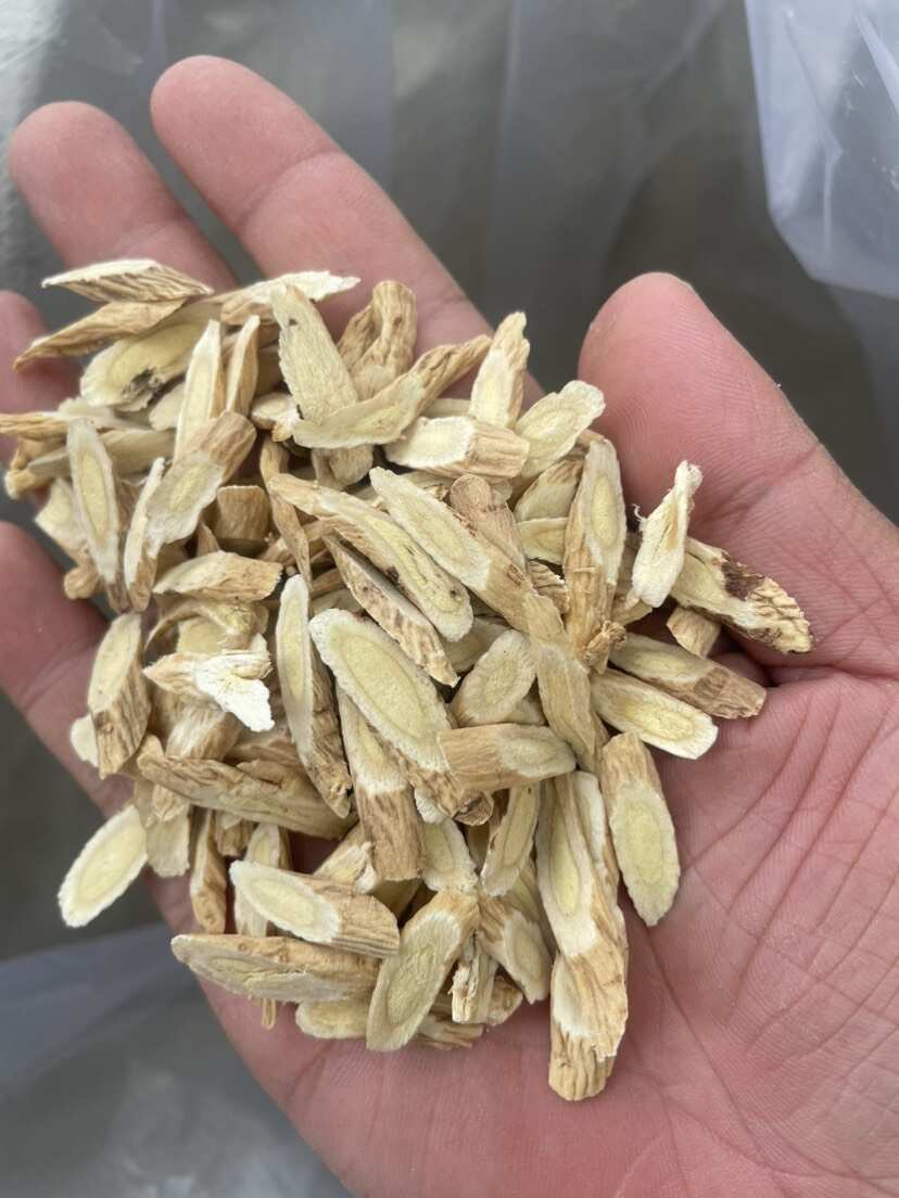 黄芪指甲片，甘肃产地，无硫，品质保证