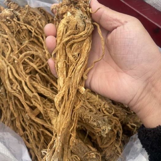 独活，水洗个子金黄色，长期大量供应
