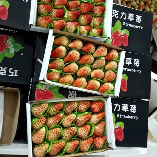 长丰红颜草莓 新鲜采摘 直供全国