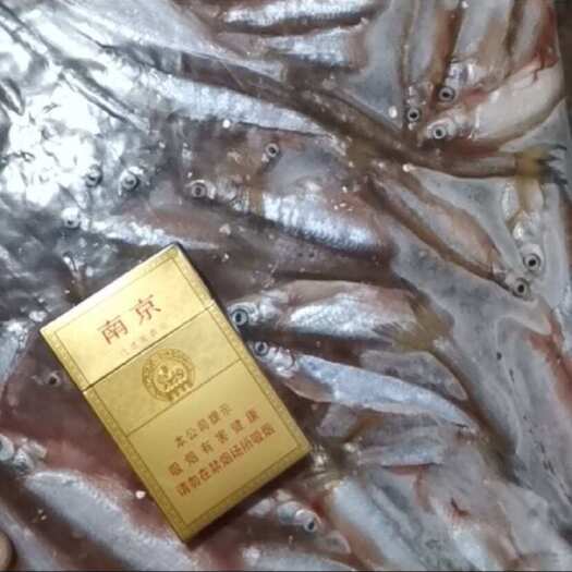 【推荐】参鱼10-15公分，产地发货，质量保证，欢迎