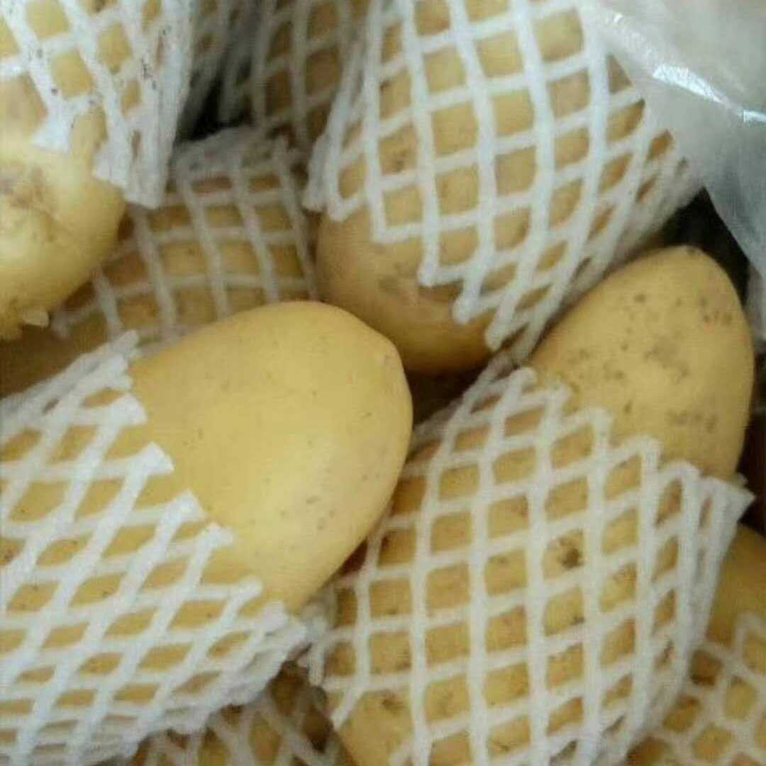 通许县土豆 万亩蔬菜基地直发 品质保证黄皮黄心