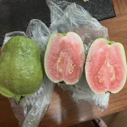 长沙漳州红宝石番石榴红芭乐