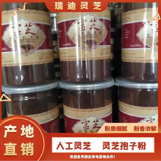 冠县（产地直销:)）  灵芝孢子粉