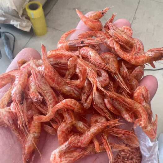 佛山虾干 干虾 地摊 电商 批发 樱花虾干 河虾干 干河虾