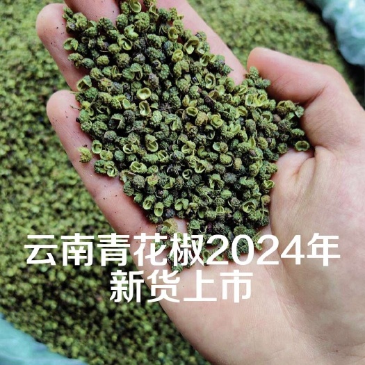 昆明云南新货麻椒颗粒青花椒批发特麻炖肉青麻大料餐饮调料青麻椒