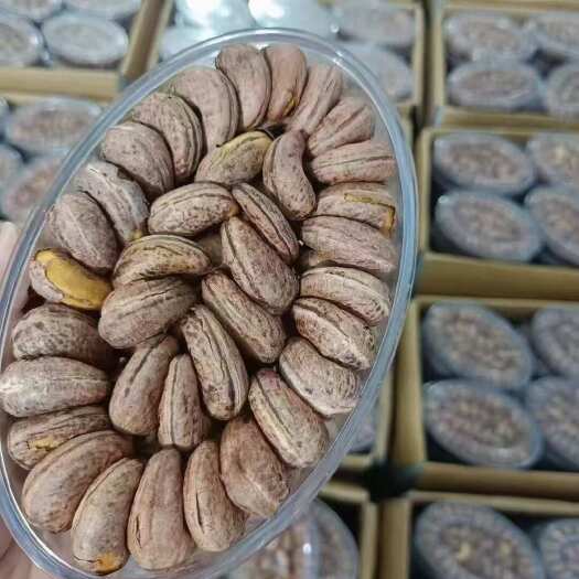 东兴市腰果大（玻璃盒）