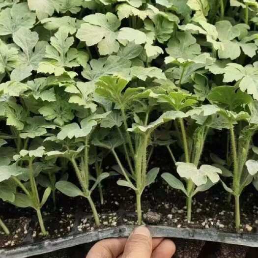 宿州价格合理 质量有保障