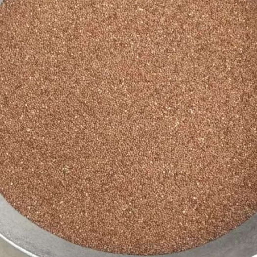 弥渡县冰粉子假酸浆种子