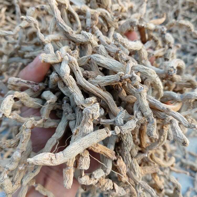 德庆巴戟天中药材干货带芯巴戟天鸡肠凤无硫生晒圆条巴戟天