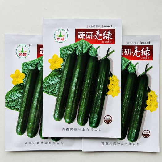 沭阳县蔬研亮绿水果黄瓜种子