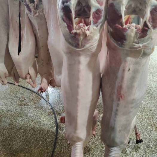 开鲁县带皮羊肉
