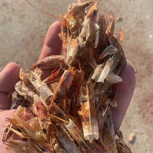 盐城对虾壳