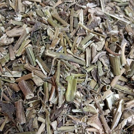 龙葵