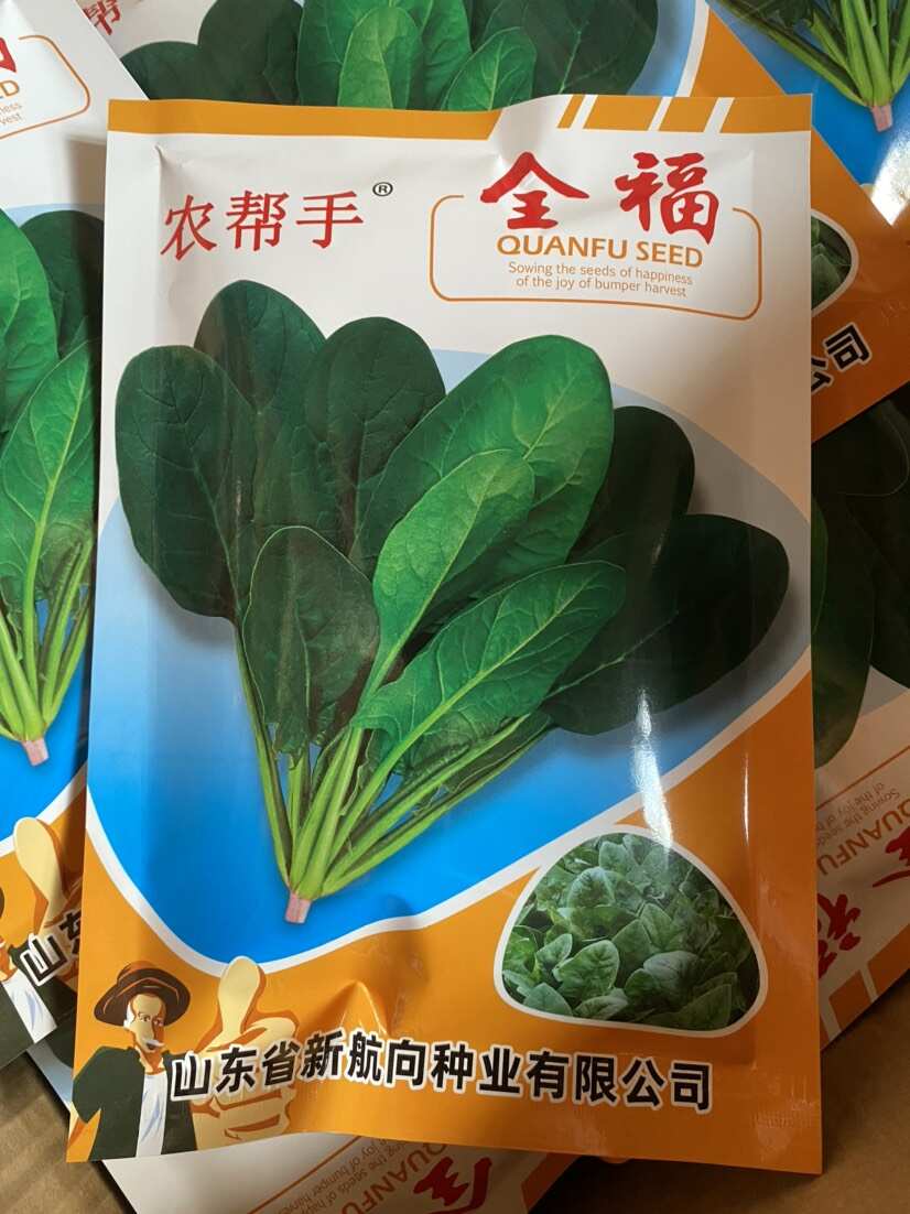 农帮手全福菠菜种子越冬耐寒菠菜种子高抗霜霉病颜色绿圆叶