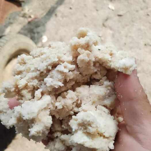 横州市新鲜发酵豆腐渣