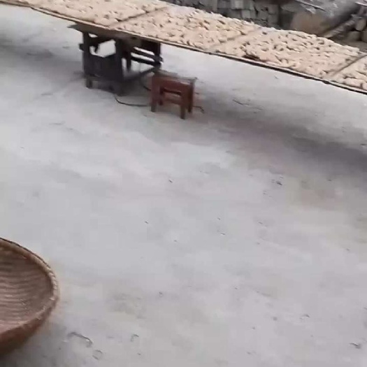 宁陕县红麻，乌红杂交天麻