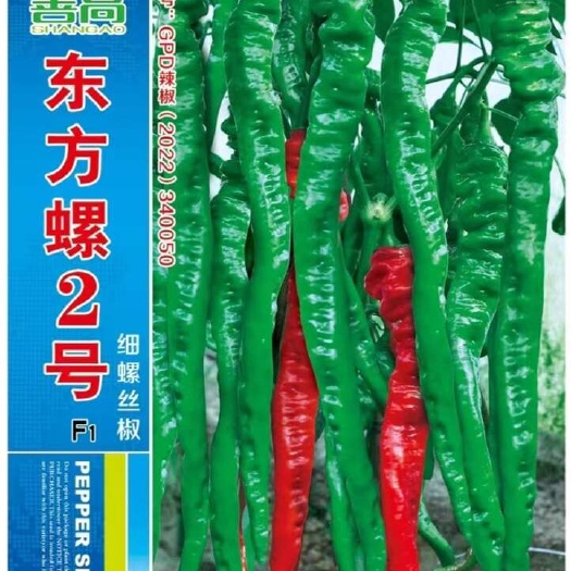樟树市东方螺2号杂交香辣超长线椒特大螺丝蔬菜早熟种子籽香辣皮薄