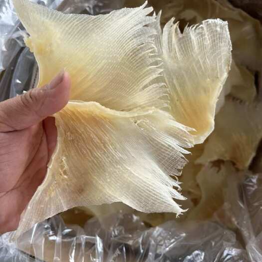 鱼软骨脆骨鱼肉翅海鲜干货酒店煲汤食材多规格礼盒包装大号