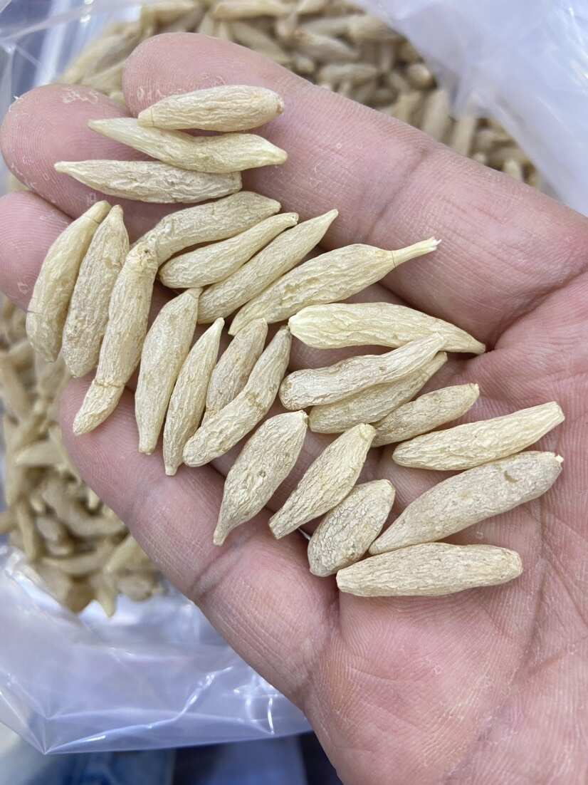 【批发联系商家】麦冬 优选川麦冬 无硫特 级包邮直发