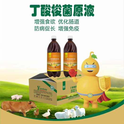 饲料添加剂 丁酸梭菌原液 猪牛羊鸡鸭鹅通用
