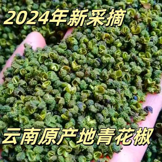 昆明新货青麻椒粒云南麻椒特麻藤椒青花椒优选麻椒麻椒粉调料青麻椒粒