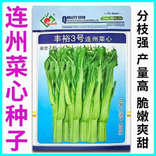 青县丰裕3号连州菜心种子广东多丫甜菜心种籽甜脆白菜苔菜种蔬菜种孑
