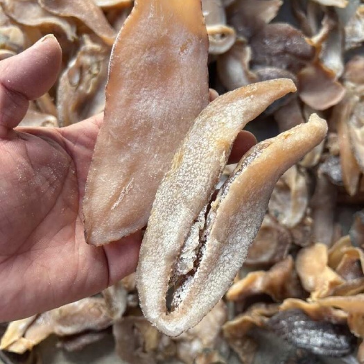 响螺肉螺干淡晒大海螺肉佛跳墙炖汤红烧礼盒包装酒店特色海鲜干货