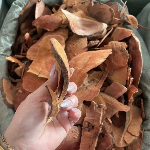 玉林中药材批发  半枫荷 量大优惠