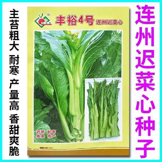 青县丰裕4号连州迟菜心种子多丫甜脆白菜苔种籽广东甜菜心种蔬菜种孑