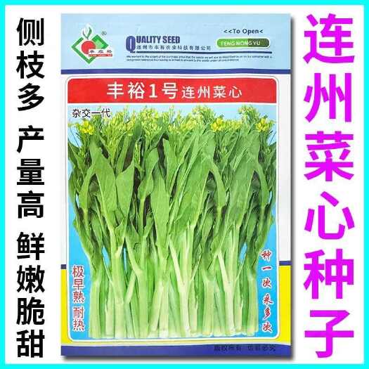 青县丰裕连州菜心种子广东甜菜心种籽甜脆白菜台菜种青菜籽种蔬菜种孑