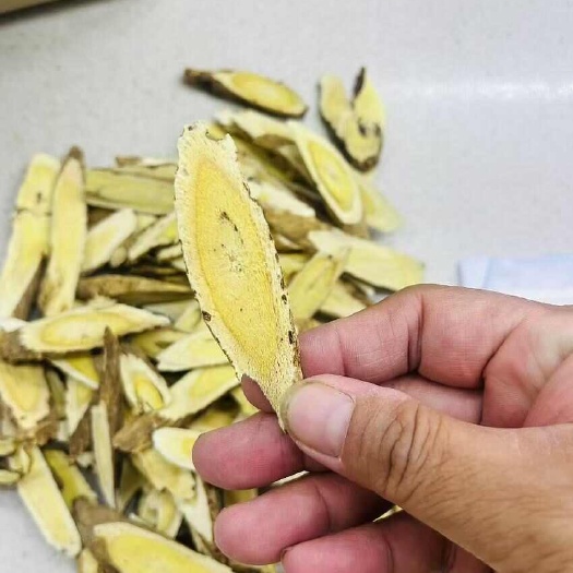 甘肃大山里自然生长的黄芪