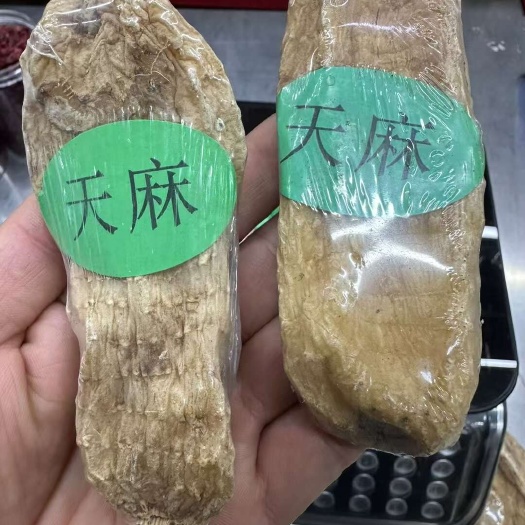 抚松县长白山天麻，自然生长的