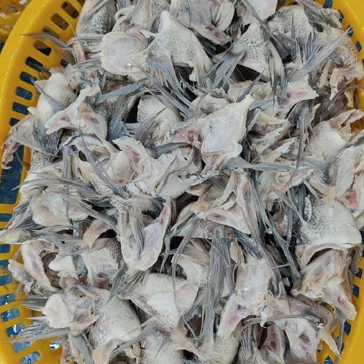 江门鱼下巴 脆肉罗非鱼下巴