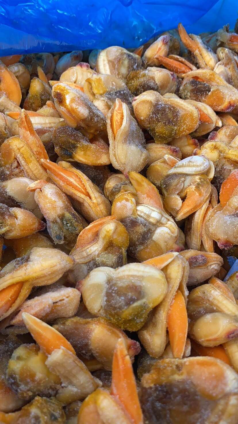 新货超大文贝肉文蛤捞汁小海鲜食材去壳蚬子肉大蛤蜊肉文蛤蜊文哈