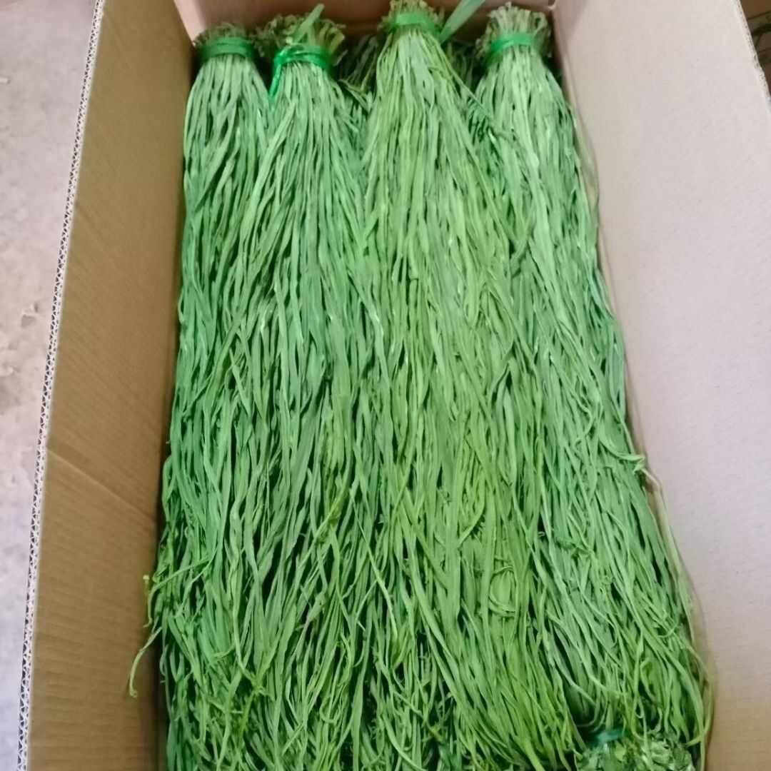 干货贡菜干特级苔干苔菜响菜义门贡菜脱水蔬菜新鲜干菜亳州土特产