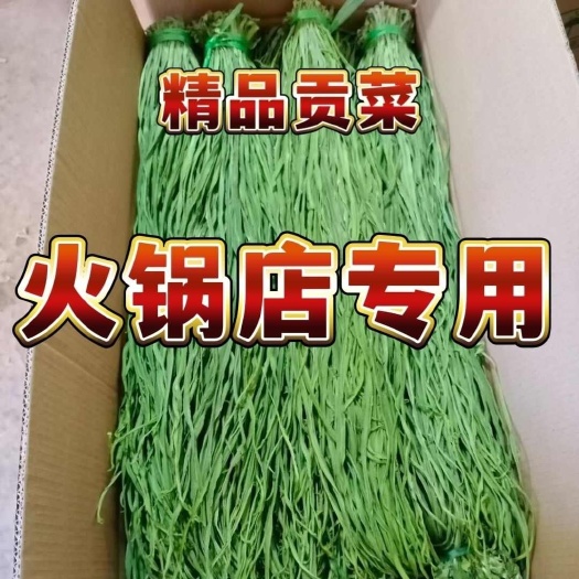 贡菜干苔干火锅干货新鲜脱水蔬菜响菜非莴笋干农家土特产批发