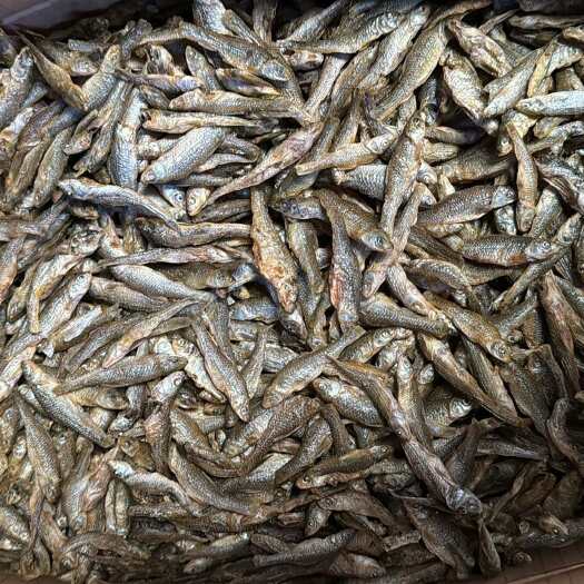 岳阳麦穗鱼干