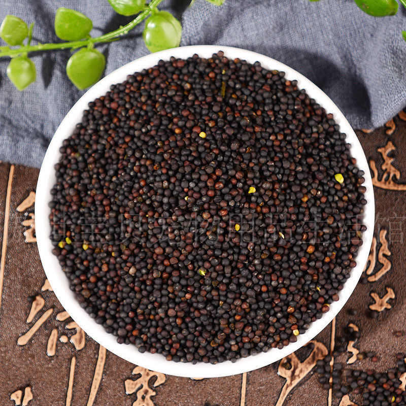 油菜籽种子，油菜花种子室外观赏食用耐寒耐旱春秋油菜