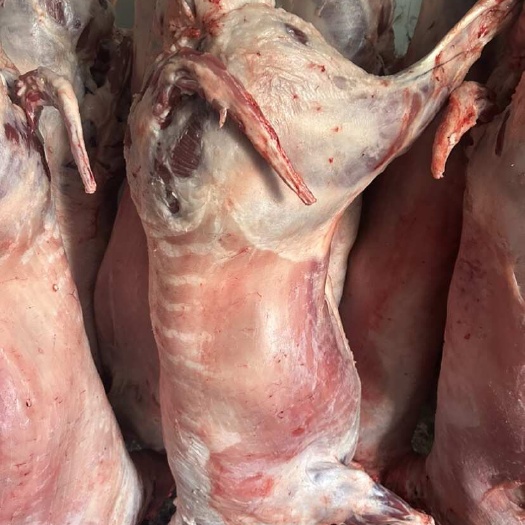 阳信县现宰现杀好羊肉。欢迎采购。