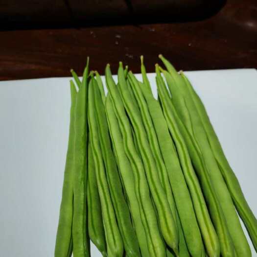 保山四季豆小金豆 扁豆 无尽豆 都有