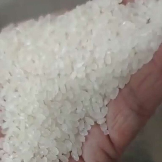 鹤岗24年珍珠米，食用大米